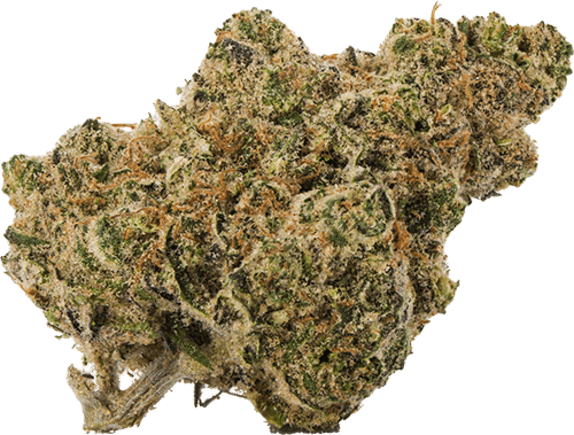 Fresh Powder image 1